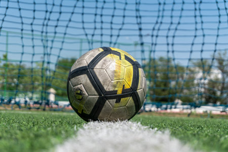 Soccer ball resting on the goal line with a goal net in the background.