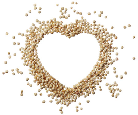Heart of quinoa grain isolated on a white backgroundの写真素材