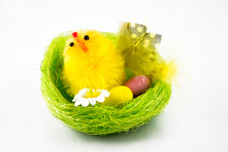 Easter Chicksの写真素材