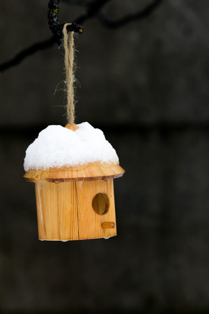 Bird house in the snowの写真素材