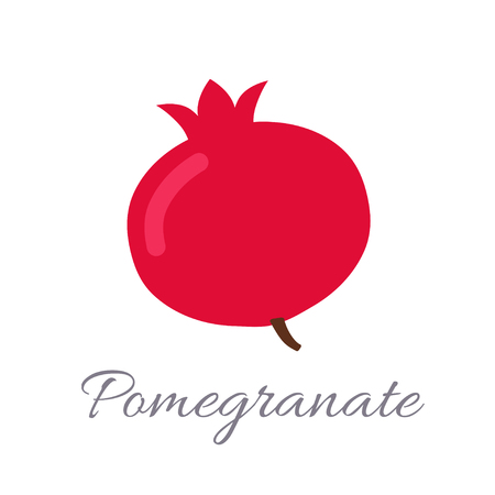 Vector illustration of pomegranate icon in flat style with title, isolated on white backgroundのイラスト素材
