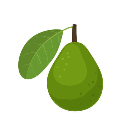 Guava fruit icon flat design vector illustrationのイラスト素材