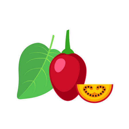 Tamarillo whole fruit with slice flat designのイラスト素材