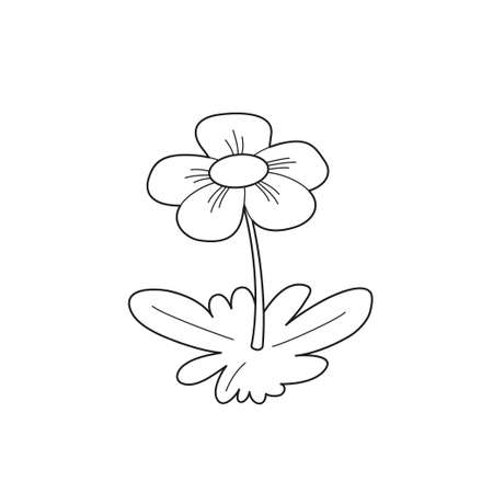 Beautiful flower outline vector illustrationのイラスト素材