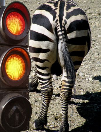 trafficの写真素材