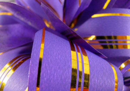 violet ribbonの写真素材