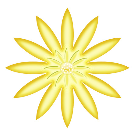 yellow flowersのイラスト素材