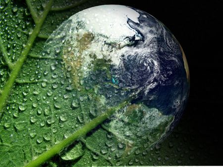 earth and wet laminaの写真素材