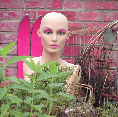 human dollの写真素材