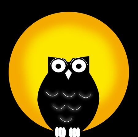 owl and moonの写真素材