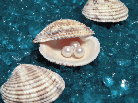 pearl and shells の写真素材