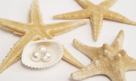 Seastar Sea shell pearls の写真素材