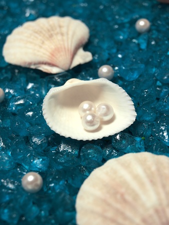 pearls and shells の写真素材