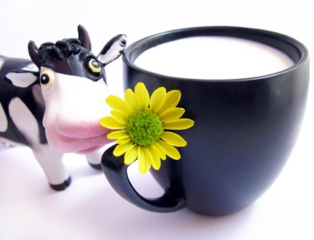 milk and cow の写真素材