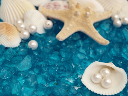 treasure from the sea        の写真素材