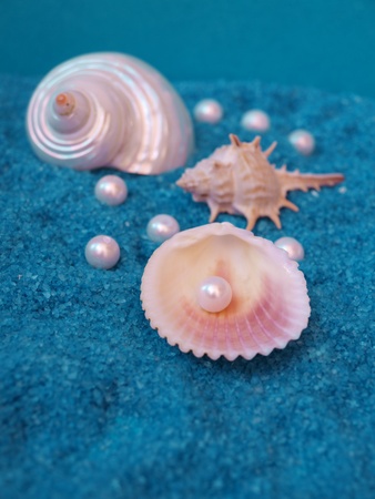 treasure from the seaの写真素材