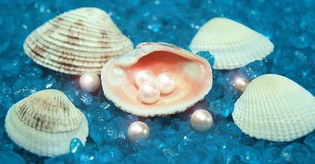 treasure from the sea の写真素材