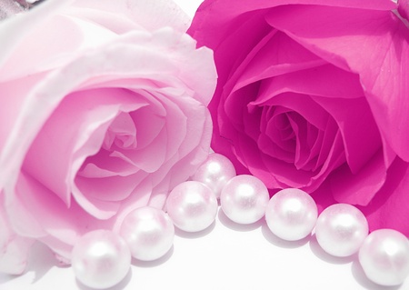 Beautiful soft roses and white pearls isolated on white background-beauty concept の写真素材