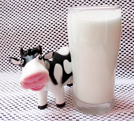 Fresh,white milk product in a glass and a sweet cowの写真素材