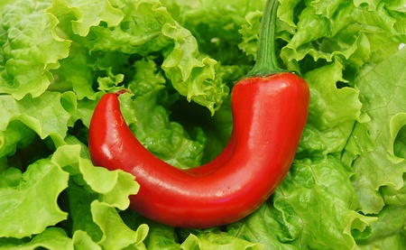 pepper redの写真素材