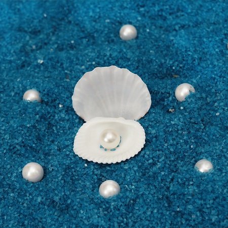 treasure from the seaの写真素材