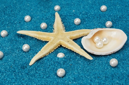 summer timeの写真素材