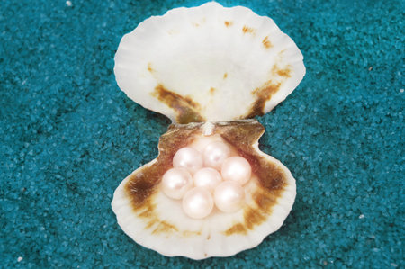 treasure from the sea 