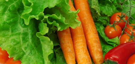 fresh vegetables の写真素材