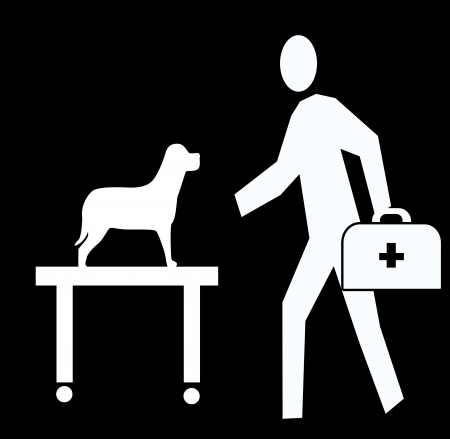 veterinary background with doctor and pets の写真素材