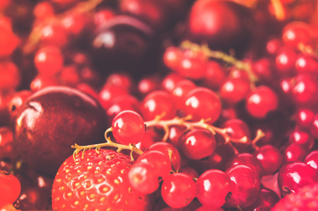 fresh ripe currantの写真素材