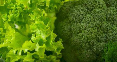 Broccoli ,,lettuceの写真素材