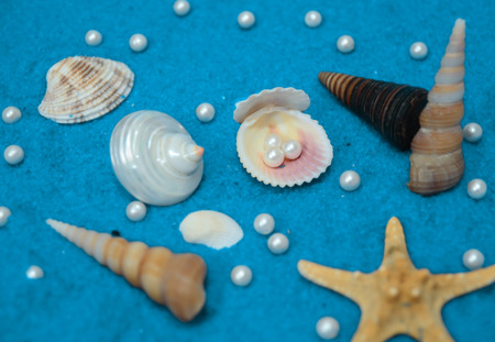 shells and pearls isolated on blue background made of little blue rocksの写真素材