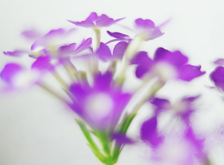 Colorful watercolor backgroundの写真素材