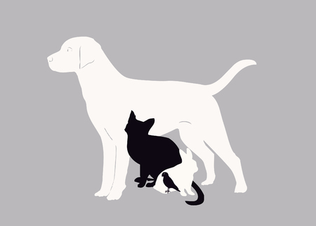 veterinary icon ,dog,cat,rebbit,parrotの写真素材