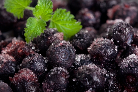 bilberries or whortleberries frozen berry
の写真素材