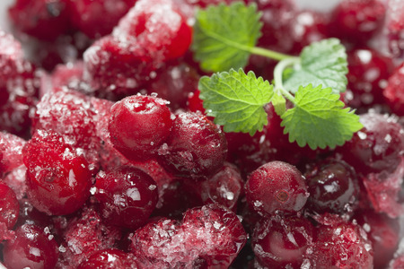 frozen red cranberries, useful berry, much vitamins. close-upの写真素材