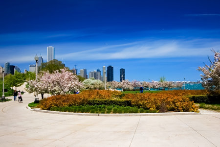 Chicago Lakefront garden including a piece of the skyline.の写真素材