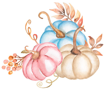 Pumpkin Clipart. Watercolor hand drawn pink and blue pumpkins and florals Bouquet, Thanksgiving illustrtaion, Autumn harvest, Baby Shower Party invitation, cardの写真素材