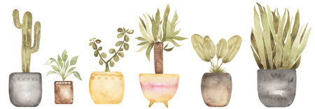Boho indoor plant clipart. Watercolor modern home decor illustration. House plant greenery floral elements. planner art, scrapbookingの写真素材