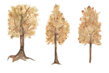 Watercolor autumn trees clipart set. Hand painted yellow tree illustration isolated on white background. Autumn festival. Botanical illustration for designの写真素材