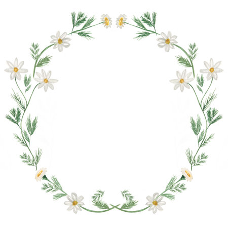 Hand drawn watercolor daisy flowers, meadow florals wreath illustration. Wildflower clipart, field flowers frame for wedding, birthday invitation. Meadow herbs chamomile clip art. floral arrangementの写真素材