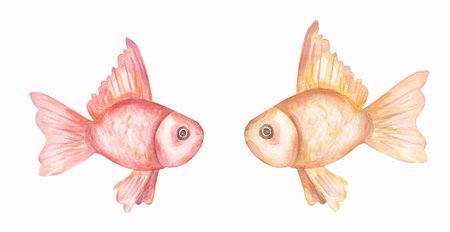 Watercolor marine cute fish clip art set, ocean animals clipart. Delicate yellow gold and pink fishes illustrationsの写真素材