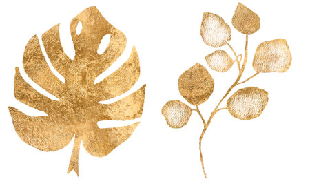 Botanical silhouette of golden leaves isolated on white background. Fine art florals illustration set, elegant delicate graphic clipart for wedding invitation card. Monstera leafの写真素材