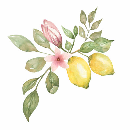Lemon branch with citrus fruit,flowers and leaves. Watercolor hand drawn illustrationの写真素材