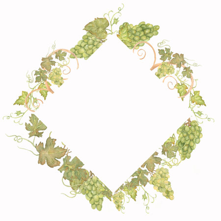 Beautiful Watercolor Hand drawn grapes frame in green and yellow colors with space.の写真素材