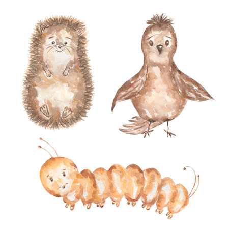 watercolor hand drawn set forest of animal clip arts - bird, hedgehog and caterpillar. woodland.の写真素材