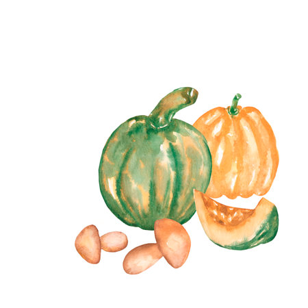 Watercolor autumn bouquets illustration. Green and yellow Pumpkins,mushrooms isolated on white background.  Autumn decoration illustration.の写真素材