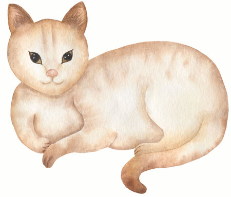 Red domestic lying cat illustration. Cute Cats background. Watercolor hand drawn pictureの写真素材
