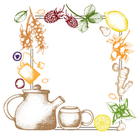 Hand drawn tea herb Illustration. Detailed retro style clipart in color. Vintage sketch frame for labels, packaging and cards design. Herbal tea frameの写真素材