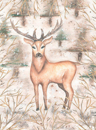 Watercolor winter card with deer and branches in the forest, christmas and new year illustration. Deer, christmas tree, winter nature. composition in grey watercolors for cards,textile, poster.の写真素材
